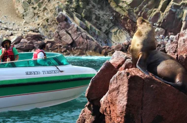 Islas Ballestas